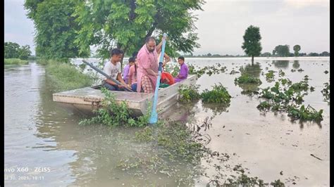 Rainwater Floods Fields In Sangrur Villages Ghaggar Flowing Near