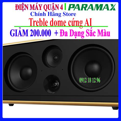 Loa Karaoke Paramax Pasion 2c Sắc Màu Cuộc Sống