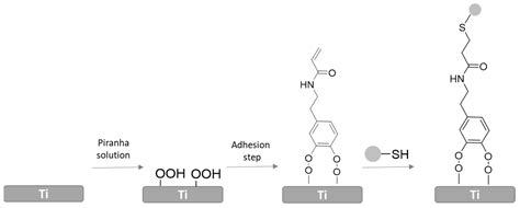 Polymers Free Full Text Bioactive Coatings On Titanium A Review On