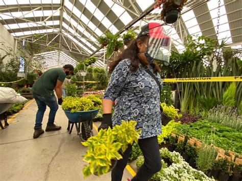 Con Largas Filas Y Restricciones Abren El Mercado De Las Flores