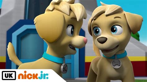 Tuck And Ella Paw Patrol - Goimages Now