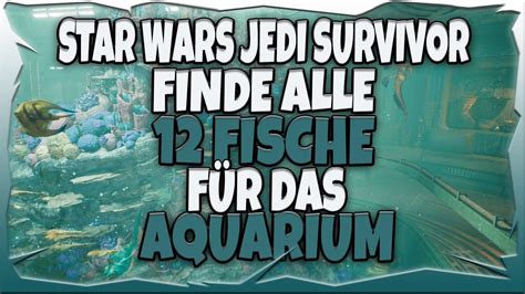 Star Wars Jedi Survivor Alle Fische F R Das Aquarium Finden Youtube