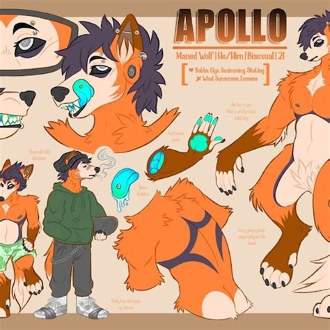 Custom One Sided Fursona Reference Sheet Etsy