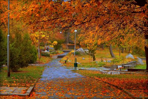 Картинки осень парк (70 фото)