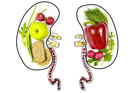 What Can I Eat on a Renal Diet? | Dr. Victor Gura