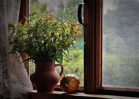 За Окном Август Картинки — Картинки фотографии