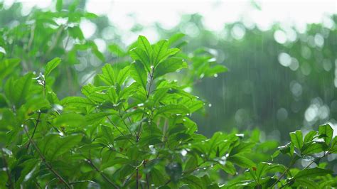 小编说天气 雨水又到访，雨具要备好今日镇江