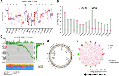 Prognostic Alternative Splicing Events Related Splicing Factors Define