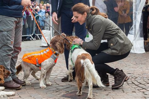 Foto Kate Middleton Faz Carinho Em Cachorros Em Evento Para Evento Em