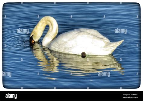 Southport,uk Tourists attractions in Southport Stock Photo - Alamy