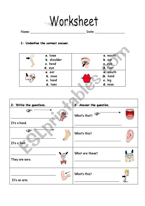 Body Parts Esl Worksheet By Veracosta 57 Off