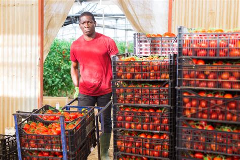 Why Hiring Seasonal Farm Workers From Uganda Is The Best Option For