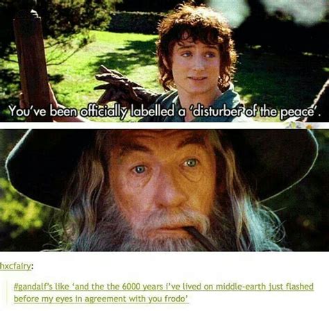 Pin On Lord Of The Rings Hobbit