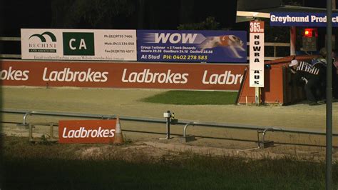 Thedogs Nowra 27 May 2024 Race 4