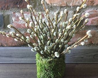 Pussy Willow Etsy