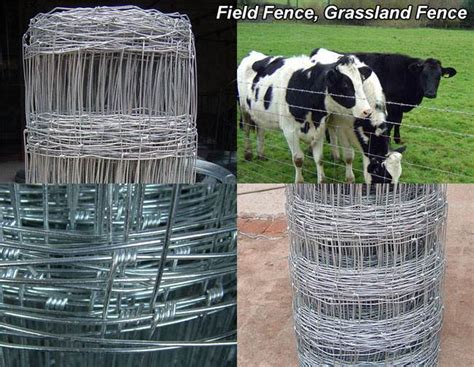 China High Tensile Galvanized Hinge Joint Grassland Field Cattle Farm