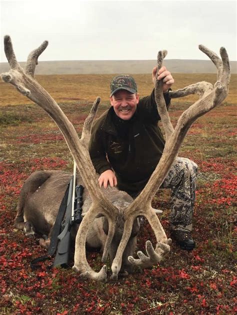 Caribou Hunt Photo Gallery Deltana Outfitters Alaska 2016