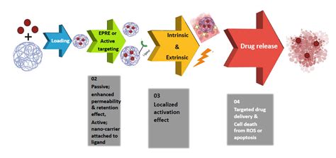 Tumor Targeted Nanoparticles Based Drug Systems Activation Ijn