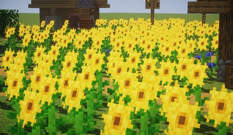 10 Sun-Kissed Secrets To Finding Sunflowers In Minecraft
