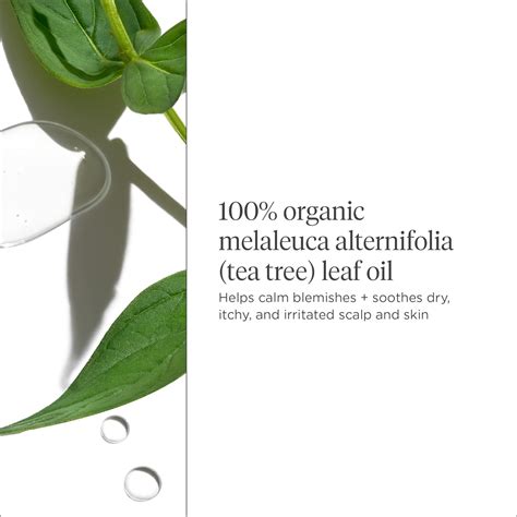 Briogeo Scalp Revival orgánico australiano 100 aceite de árbol de té