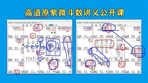 《紫微斗数实战案例教程》之下决心紫微斗数实战教程