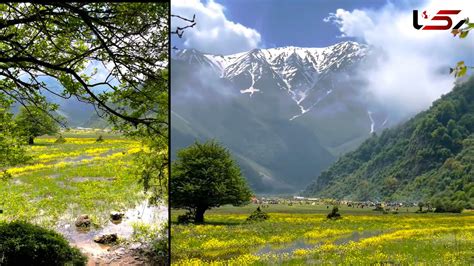 سفر به شهسوار برای دیدن دشت زیبای دریاسر فیلم