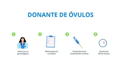 Donación De óvulos La Donación Como Acto Altruista Ceras