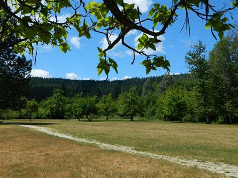 Shasta-Trinity National Forest Map - Total Escape Map Shop