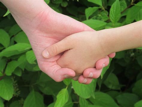 Los Valores Fundamentales Que Fortalecen Una Amistad Verdadera