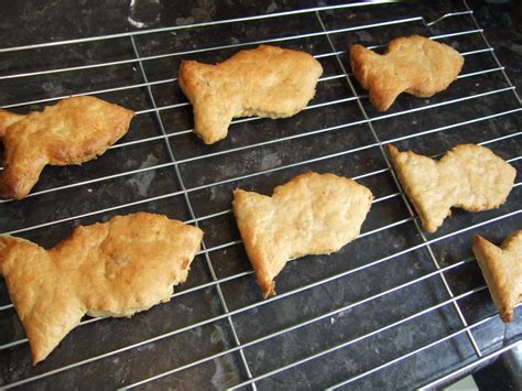 Tv Raised My Kids Octonauts Fish Biscuits