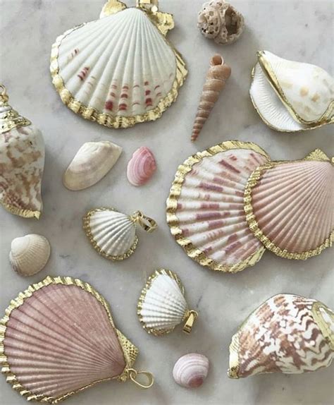 Pin By KubraFindik On DIY Love Necklace Seashell Painting Spiral Shell