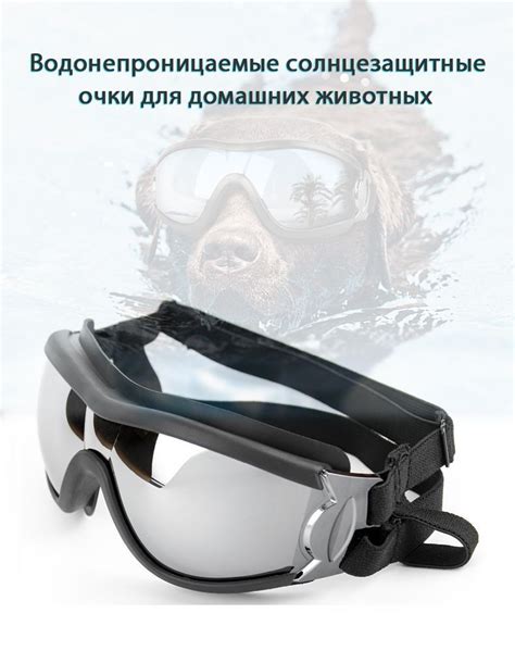 Очки для Собак купить на OZON по низкой цене