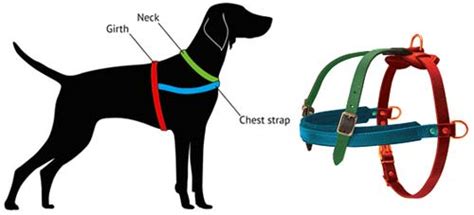 Purchase Today Pulling Tracking Leather Dog Harness For Mastiff