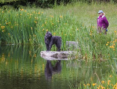 Hawkeye at Lake Albert | Photo of the Day | Noozhawk