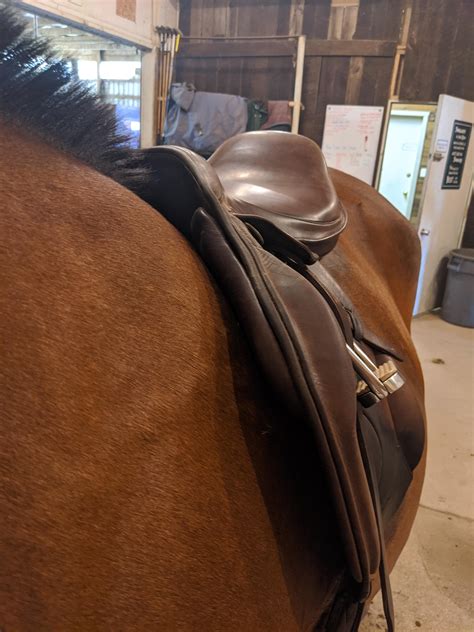 Saddle Fitting W A Forward Flap The Horse Forum