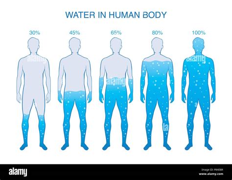 Proportion fresh water Stock Vector Images - Alamy
