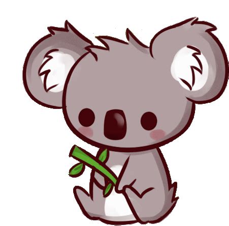 koala cute