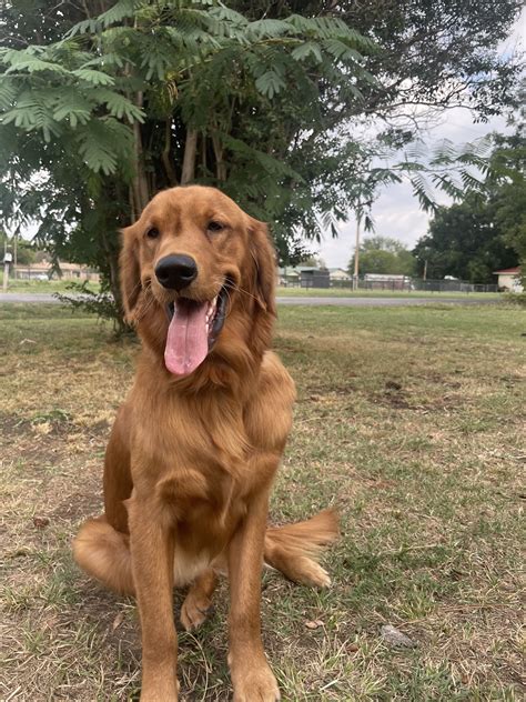 Guide to Local Funeral Homes in Golden, Oklahoma 13