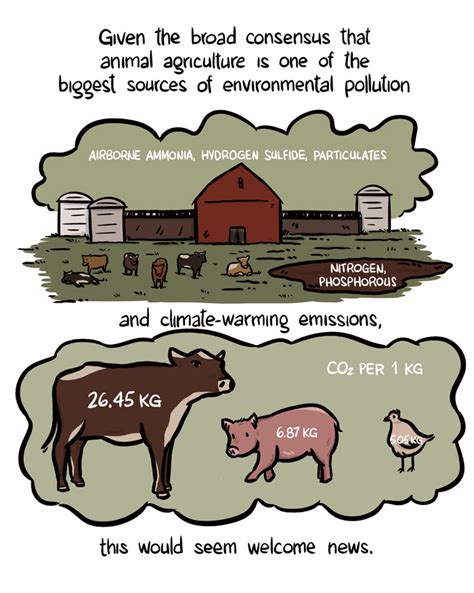 Eat Less Meat A Small Change With A Big Impact Civil Eats