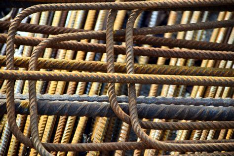 Material Gelatinoso Que Preenche O Interior Da Célula