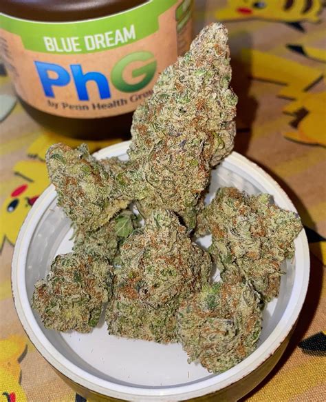 Here we have some of the best Blue Dream I’ve had in a long time