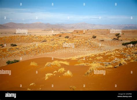 Namib Desert Star Dune Camp Views In Namibia Stock Photo Alamy