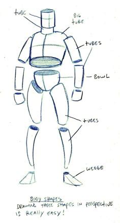 8 Best Box Method Ideas Anatomy Drawing Figure Drawing Reference