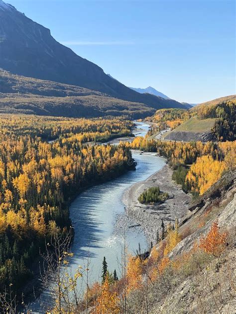 vertical shot   river flowing  wild landscapes stock photo image