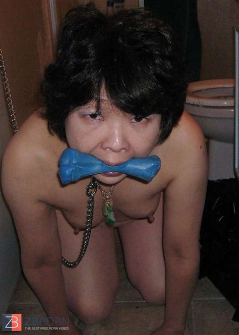 Komm Zu Herrchen ZB Porn