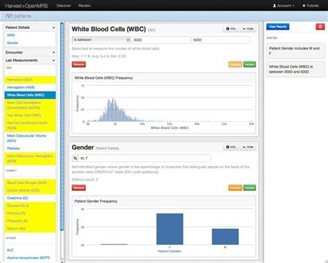 query construction view    preview data