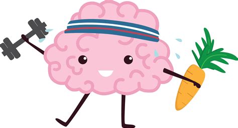 The Brain guide – Chemaine’s Model Health