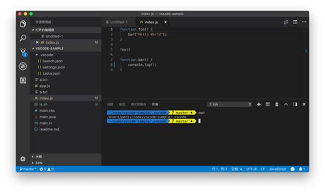 Vscode 终端设置极客教程