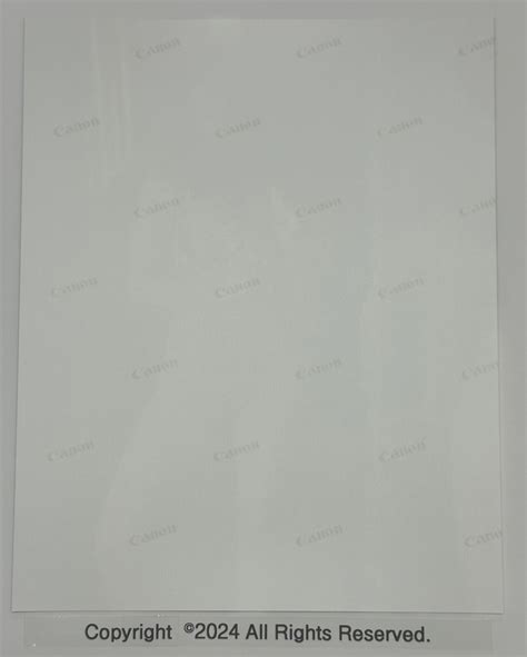 Fine Art Nude Photo 8x10 B W Naked Female Model Art Photograph Blk White 41623 EBay