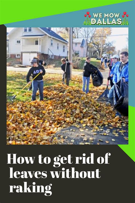 How To Rake Leaves Into A Bag Artofit